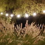 Garden Salento מלון 3*